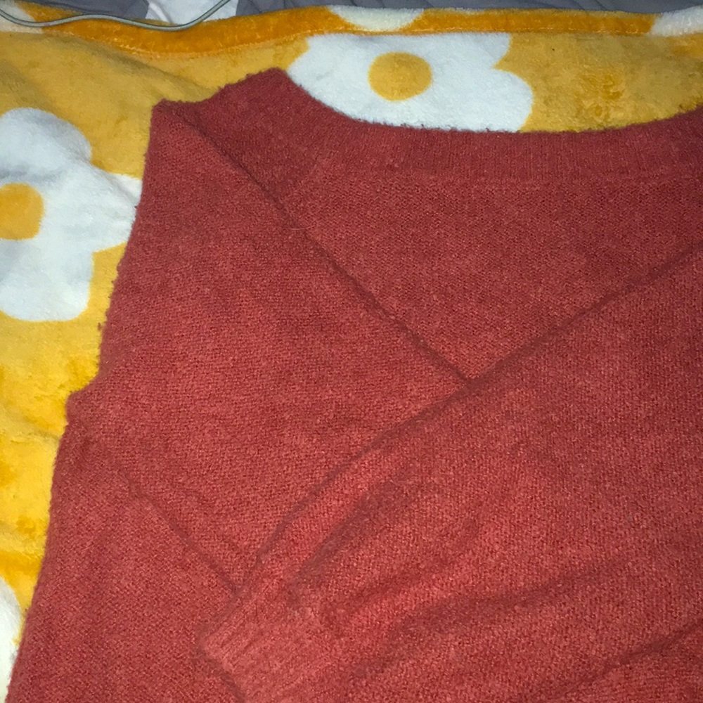 Hollister Sweater